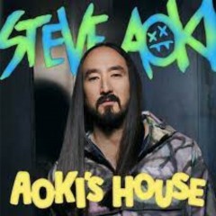Aoki's House - By Steve Aoki